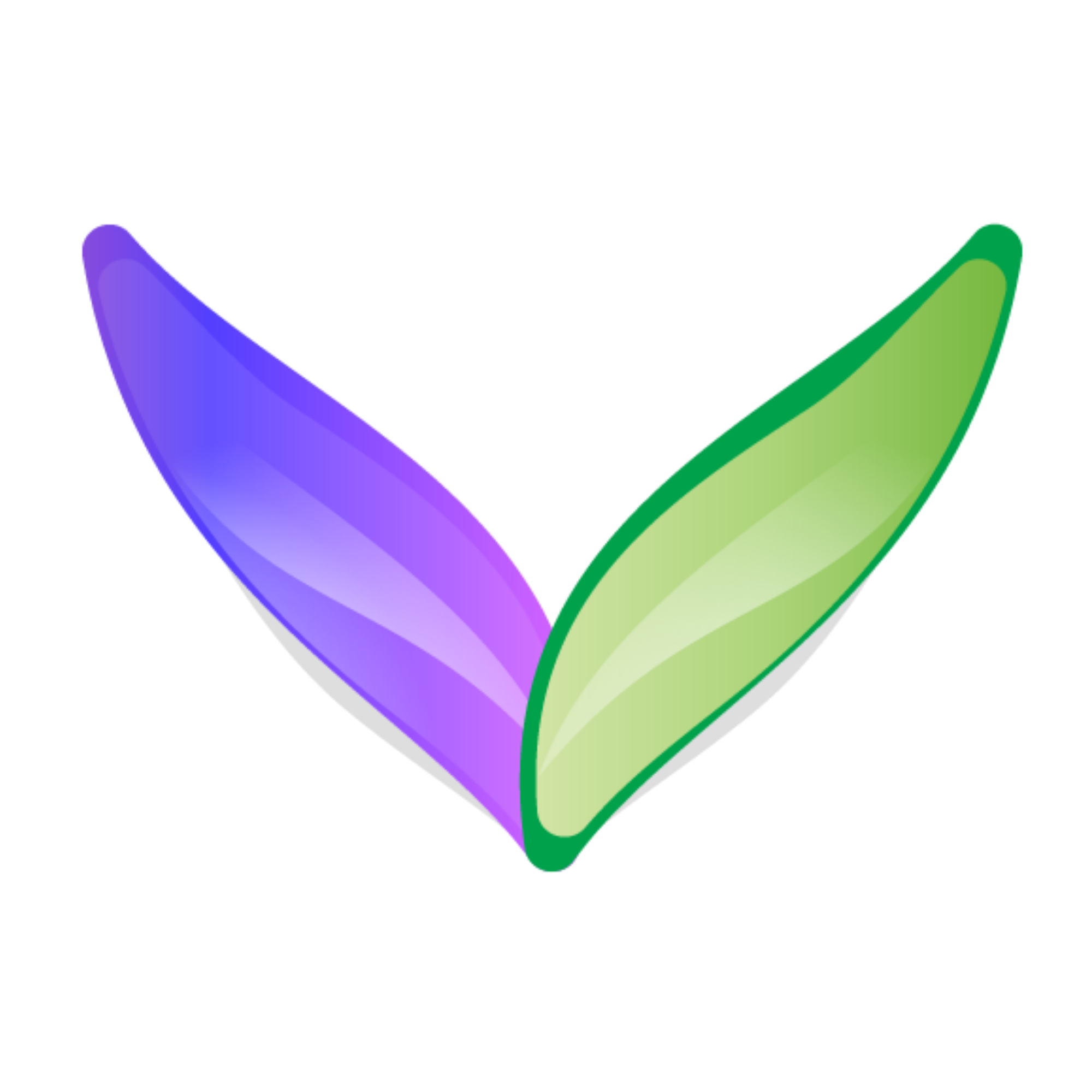 Verixa